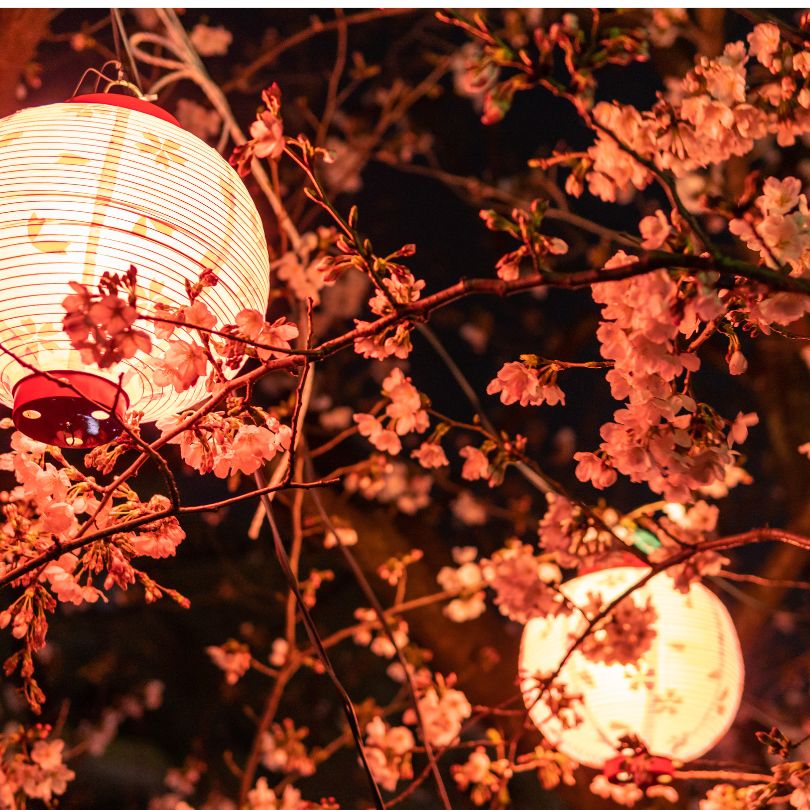Japanese Diet for Menopause: Foods That Ease Symptoms