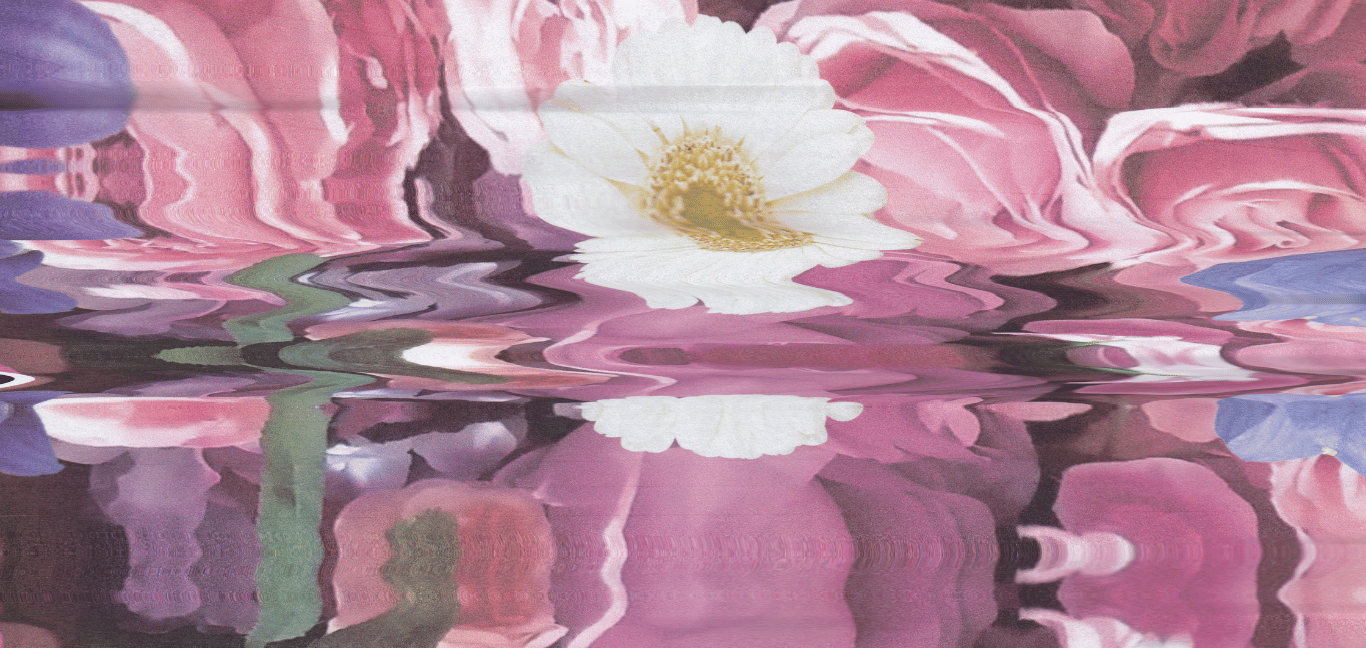 Navigating Menopause Naturally