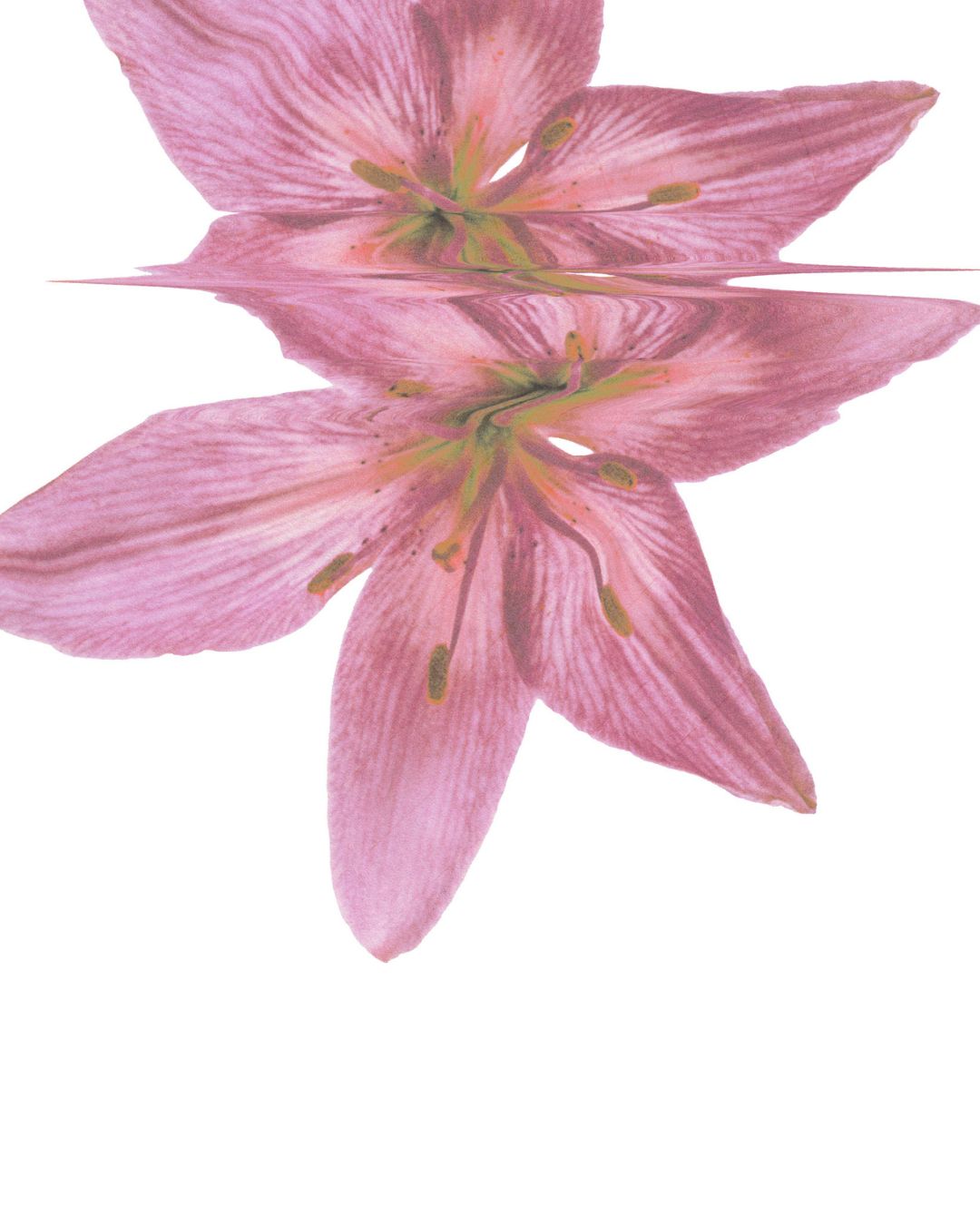 NuaBiome Fertility