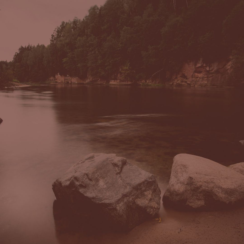 Taking an intentional break from social media and digital screens