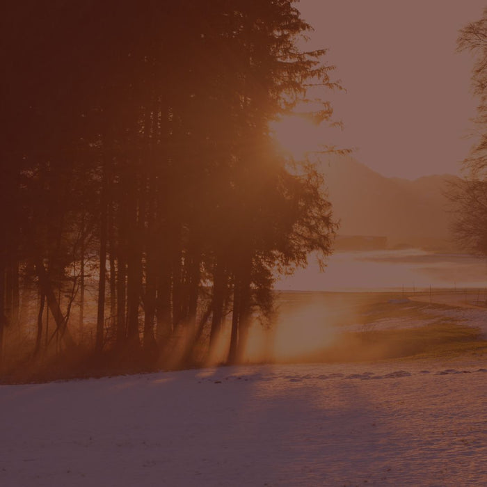 Vitamin D in winter: UK guidance, January wellbeing and seasonal low mood