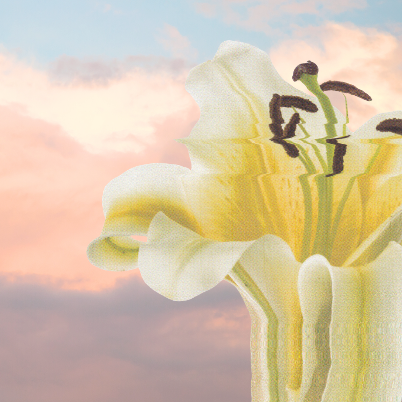 Tracking Your Cycle During Perimenopause with Tempdrop