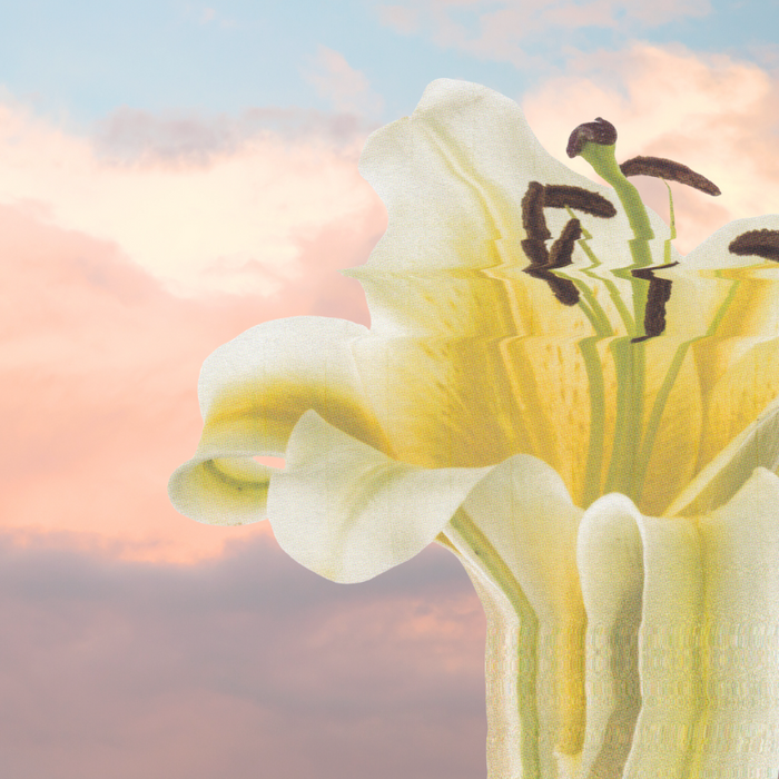 Tracking Your Cycle During Perimenopause with Tempdrop