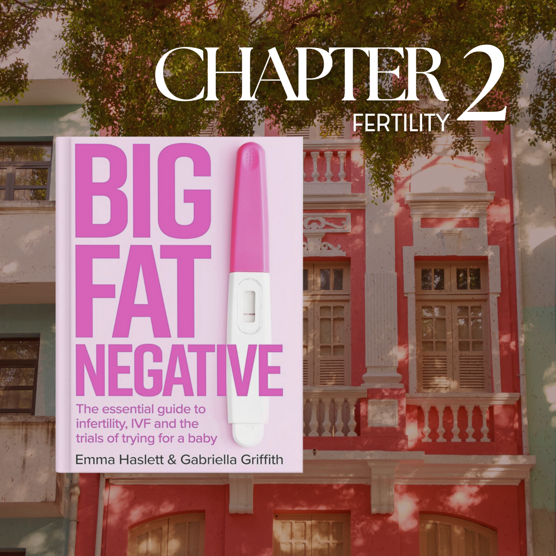 BIG FAT NEGATIVE by Emma Haslett and Gabriella Griffth