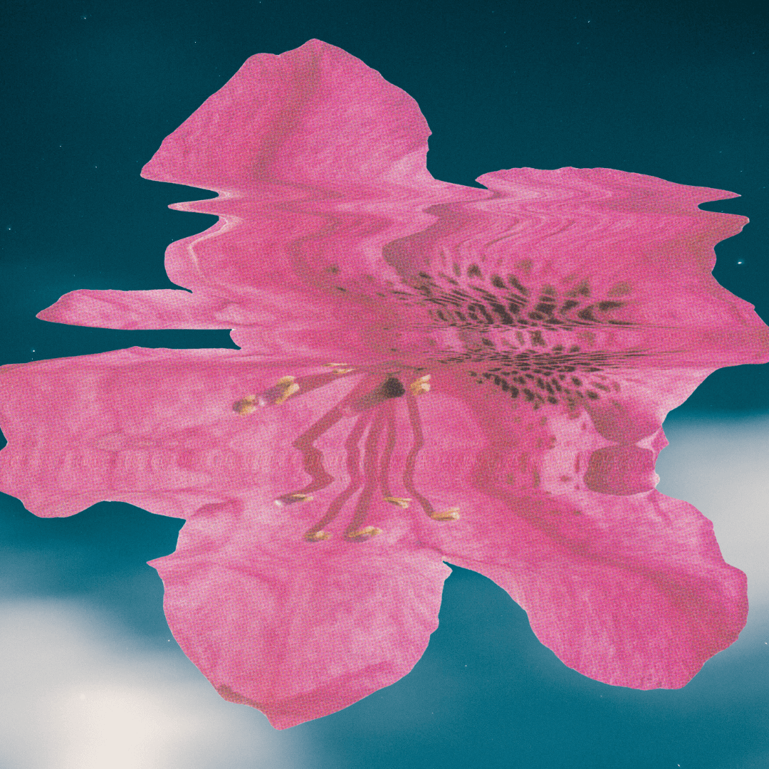 Reflexology for womens health including fertility, PMS and menopause