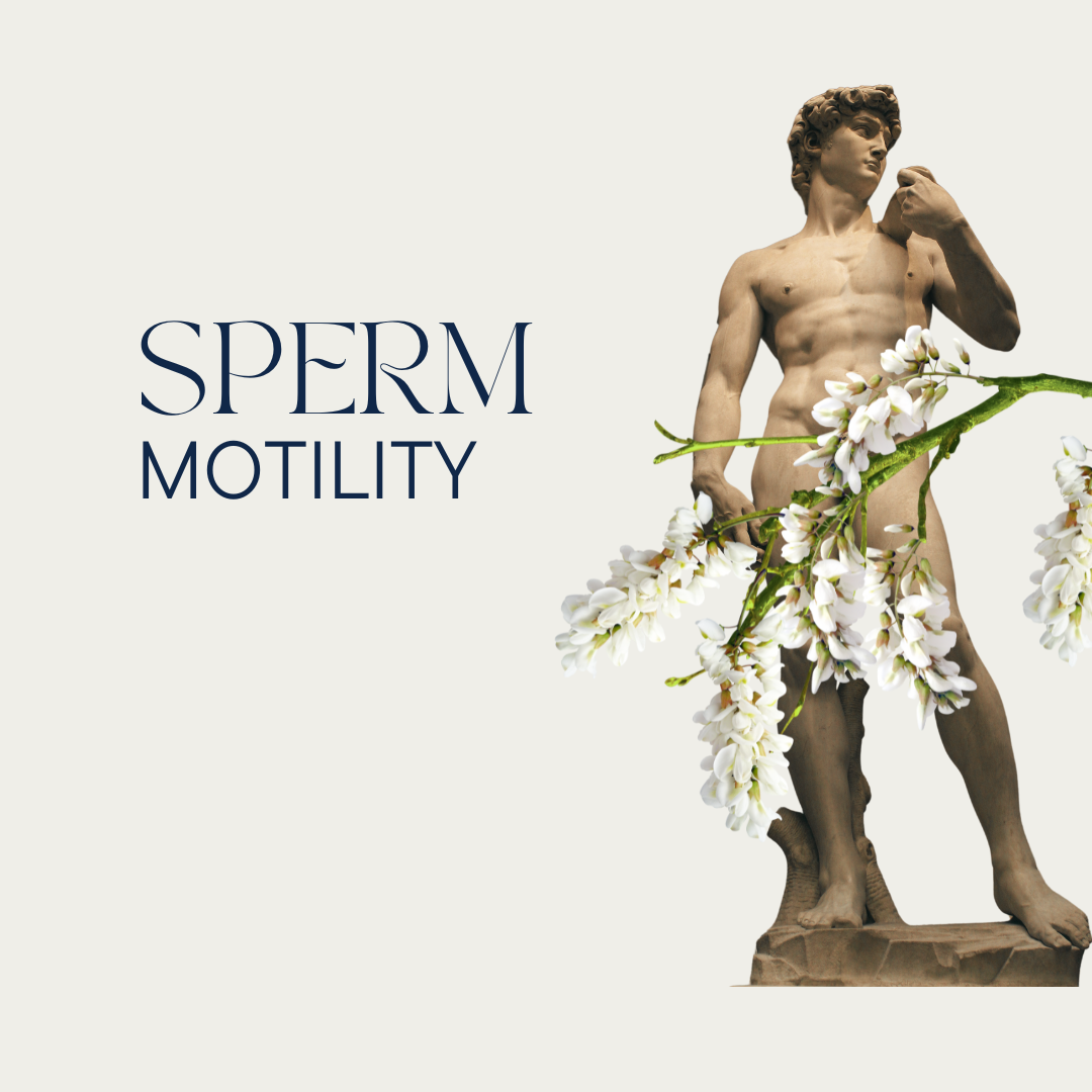 Sperm motility