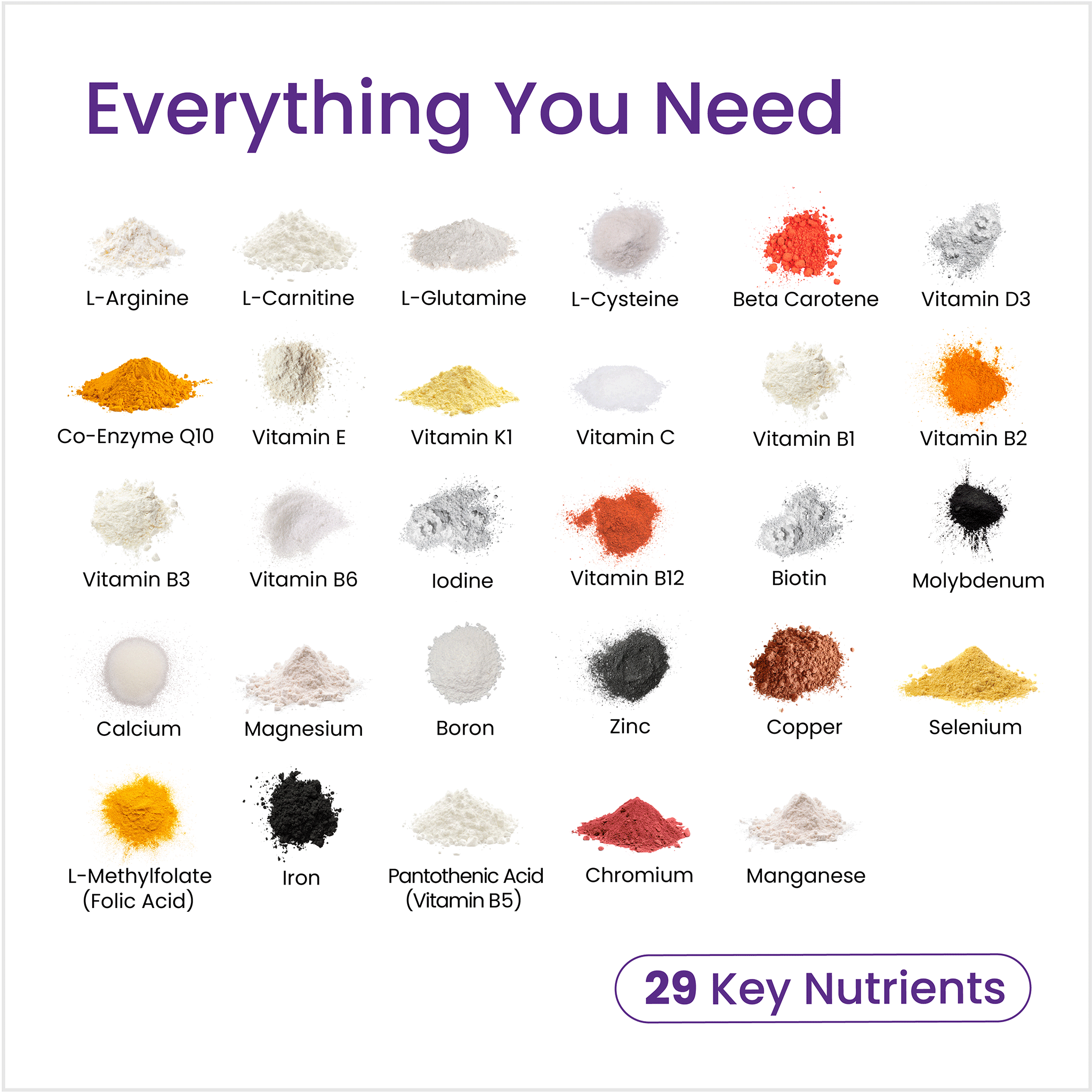List of 29 key nutrients with corresponding colorful powders on a white background.