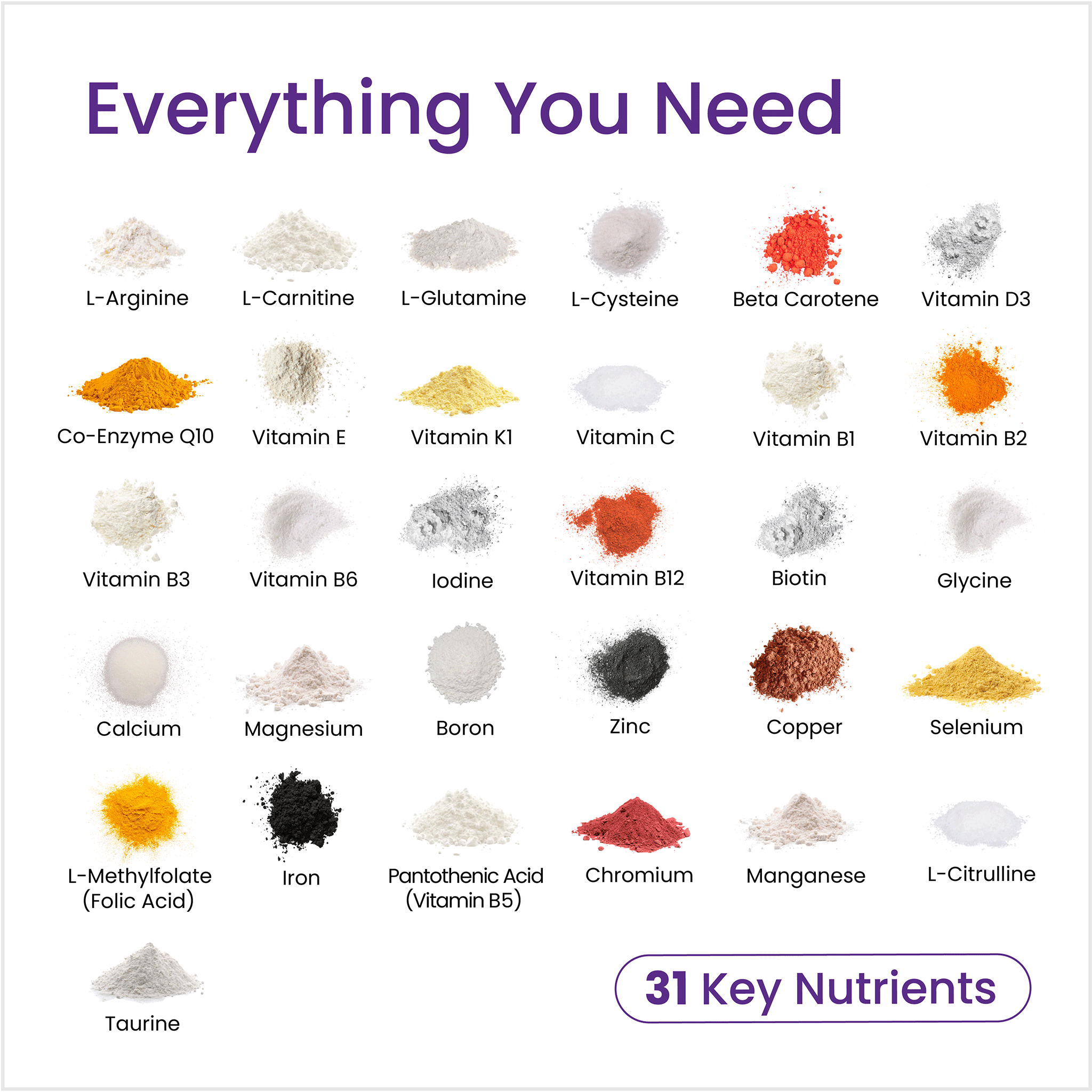 List of 31 key nutrients with corresponding images on a white background
