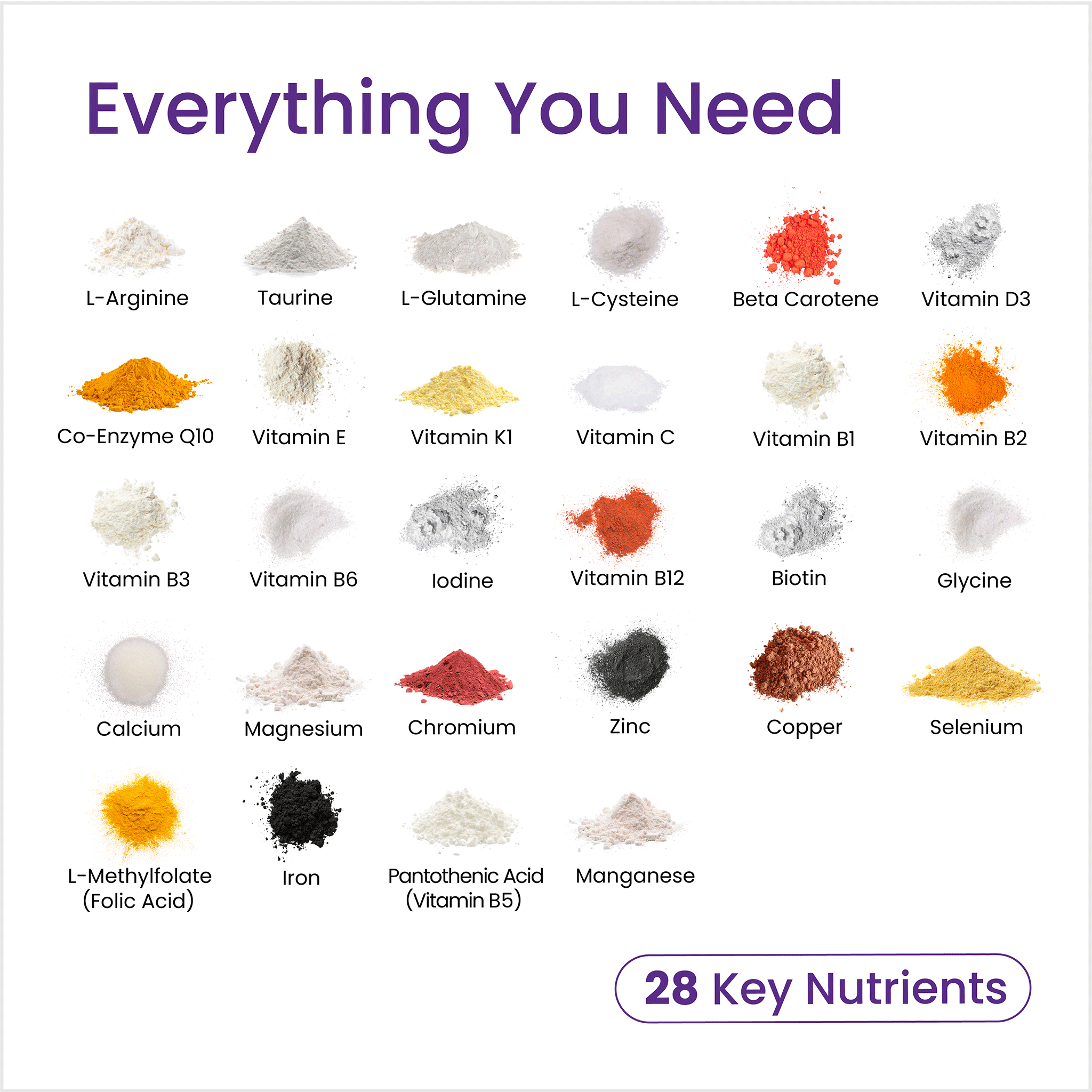 28 key nutrients displayed with their respective colors on a white background