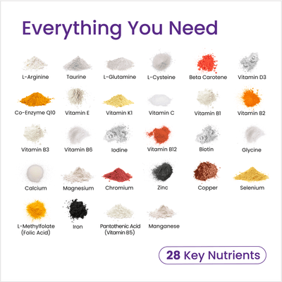 28 key nutrients displayed with their respective colors on a white background