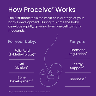 Explanation of how Proceive works during pregnancy on a purple background