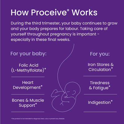 Infographic explaining how Proceive works during pregnancy on a purple background