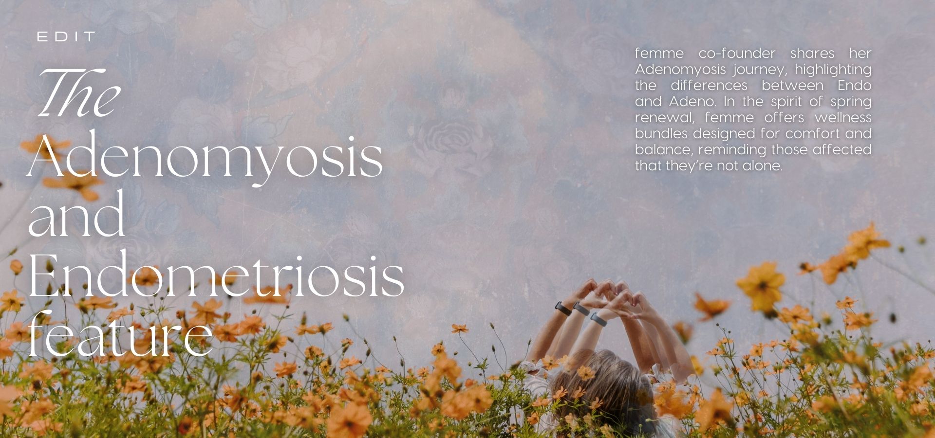 The Adenomyosis and Endometriosis feature from femme health