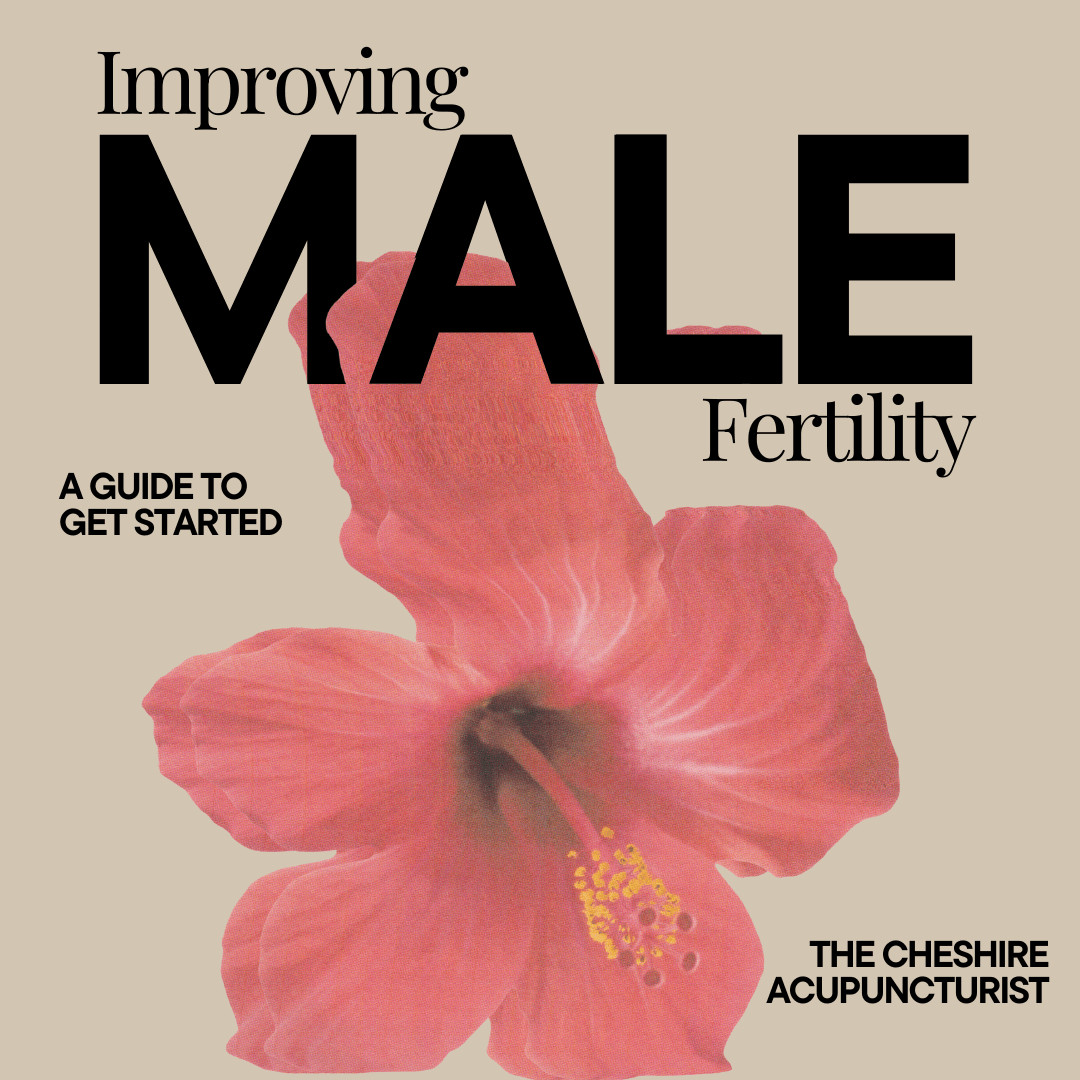 The male fertility toolkit