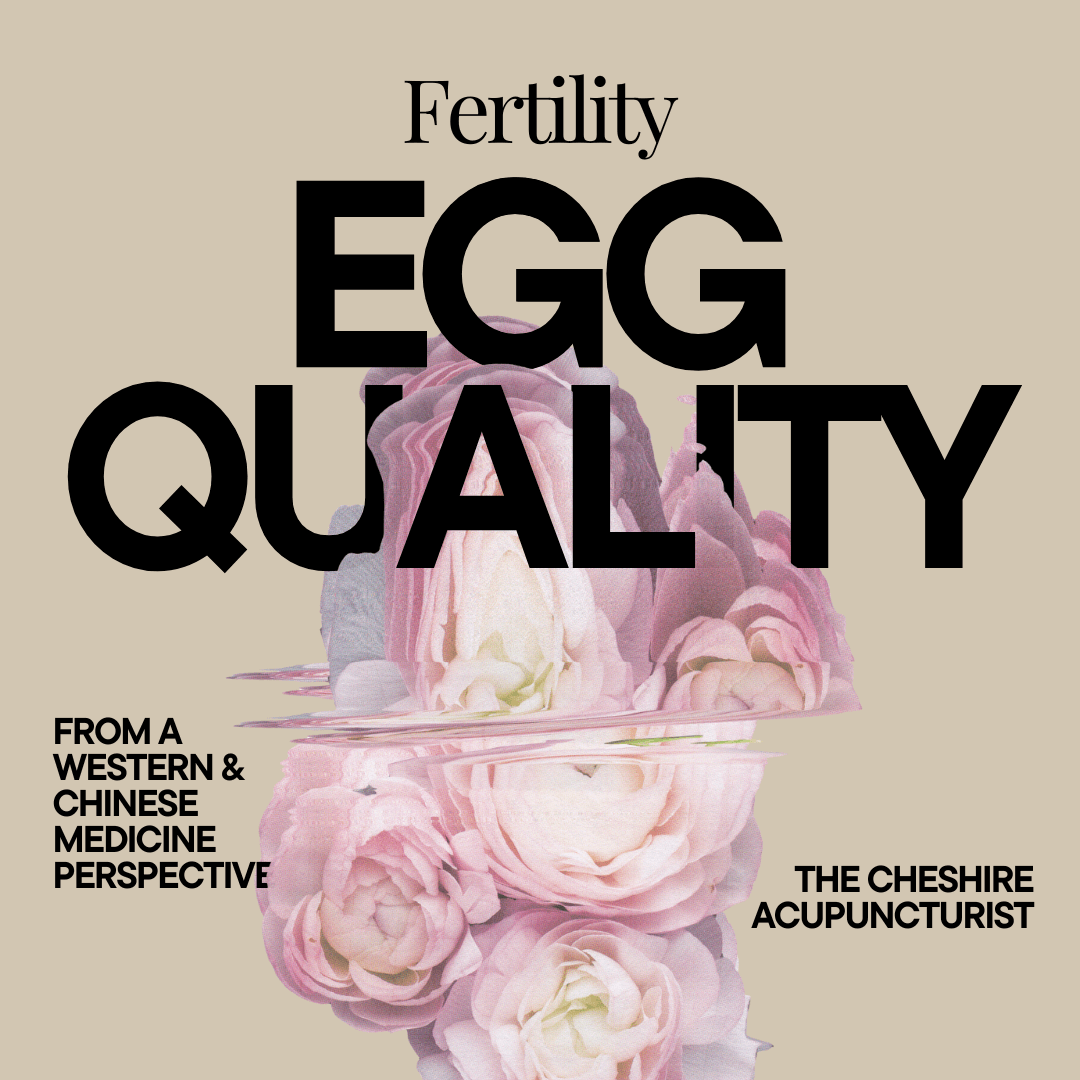 Egg Quality Toolkit