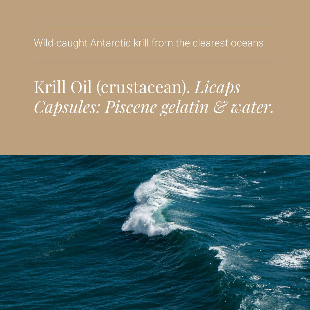 Krill oil product description with ocean wave background