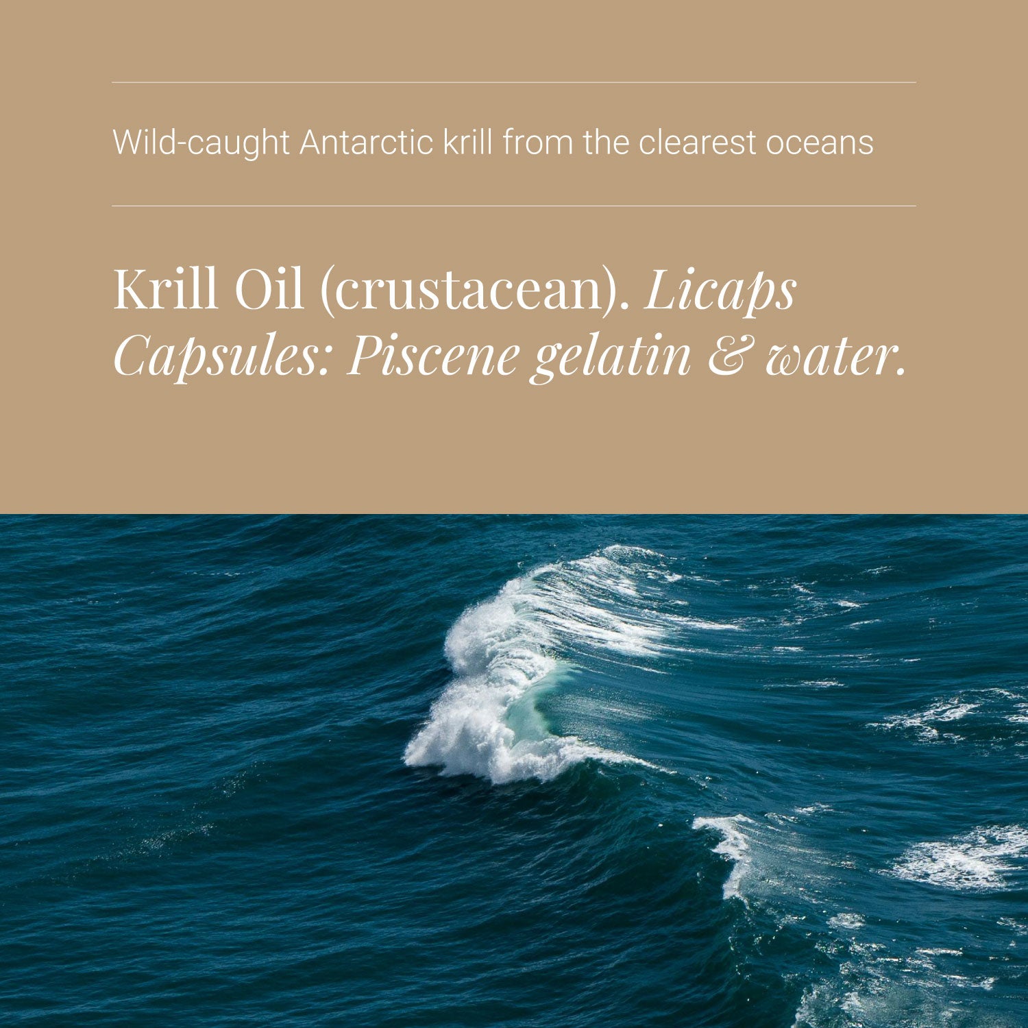 Krill oil product description with ocean wave background