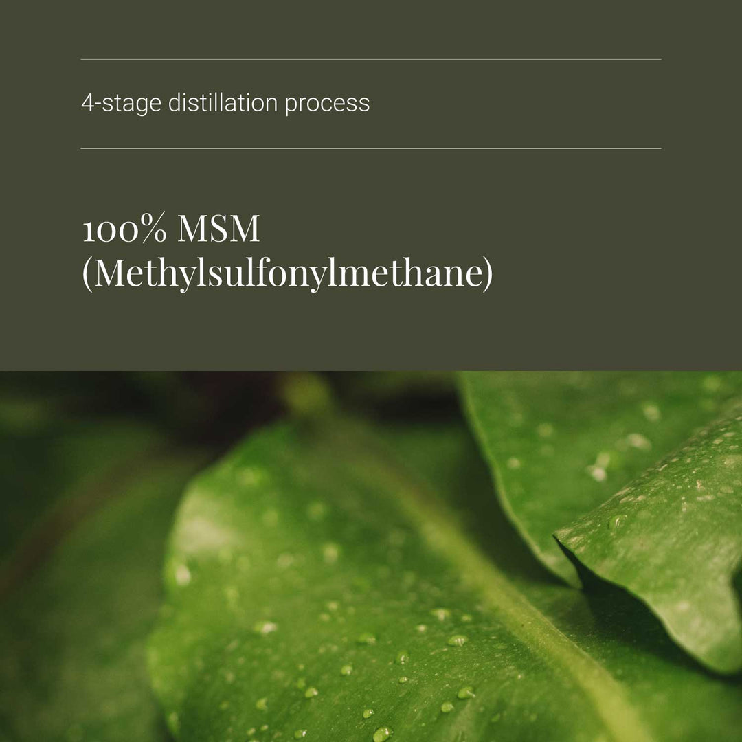 MSM supplement with text about a 4-stage distillation process for 100% MSM