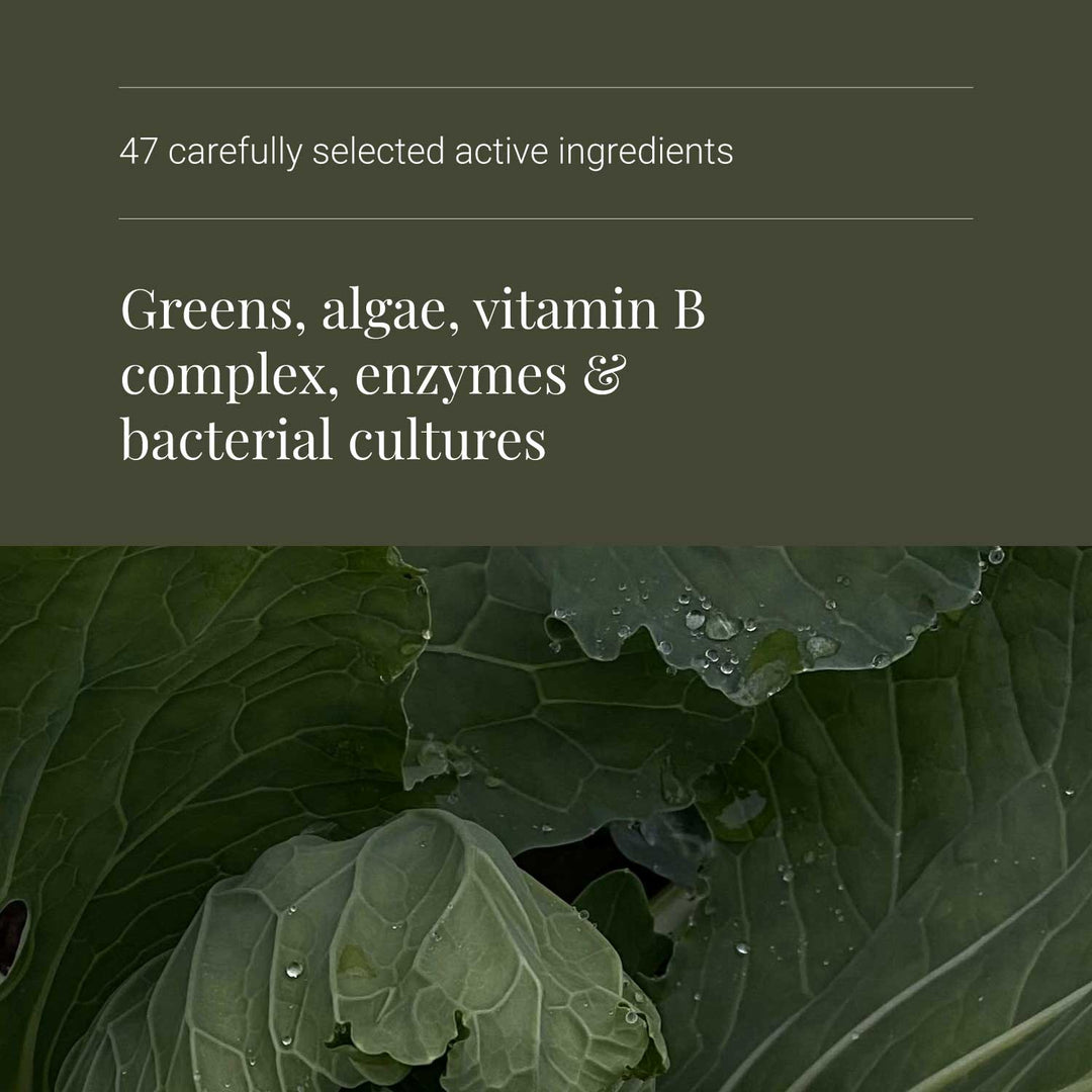 Superfood supplements Ingredients on a green background with '47 carefully selected active ingredients' and 'Greens, algae, vitamin B complex, enzymes & bacterial cultures' text