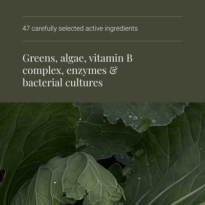 Superfood supplements Ingredients on a green background with '47 carefully selected active ingredients' and 'Greens, algae, vitamin B complex, enzymes & bacterial cultures' text