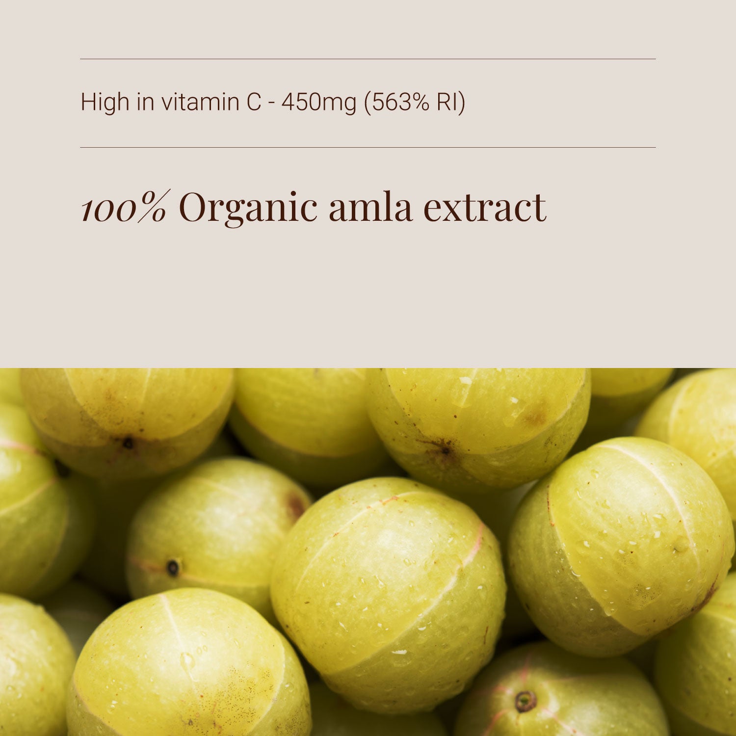 100% Organic amla extract with vitamin C information on a beige background