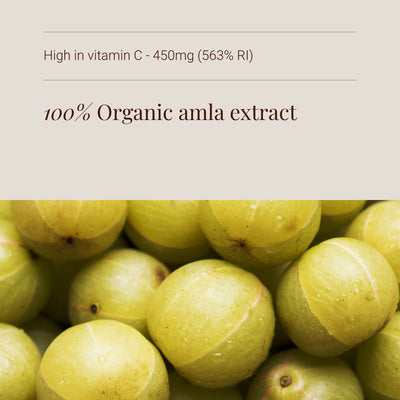100% Organic amla extract with vitamin C information on a beige background
