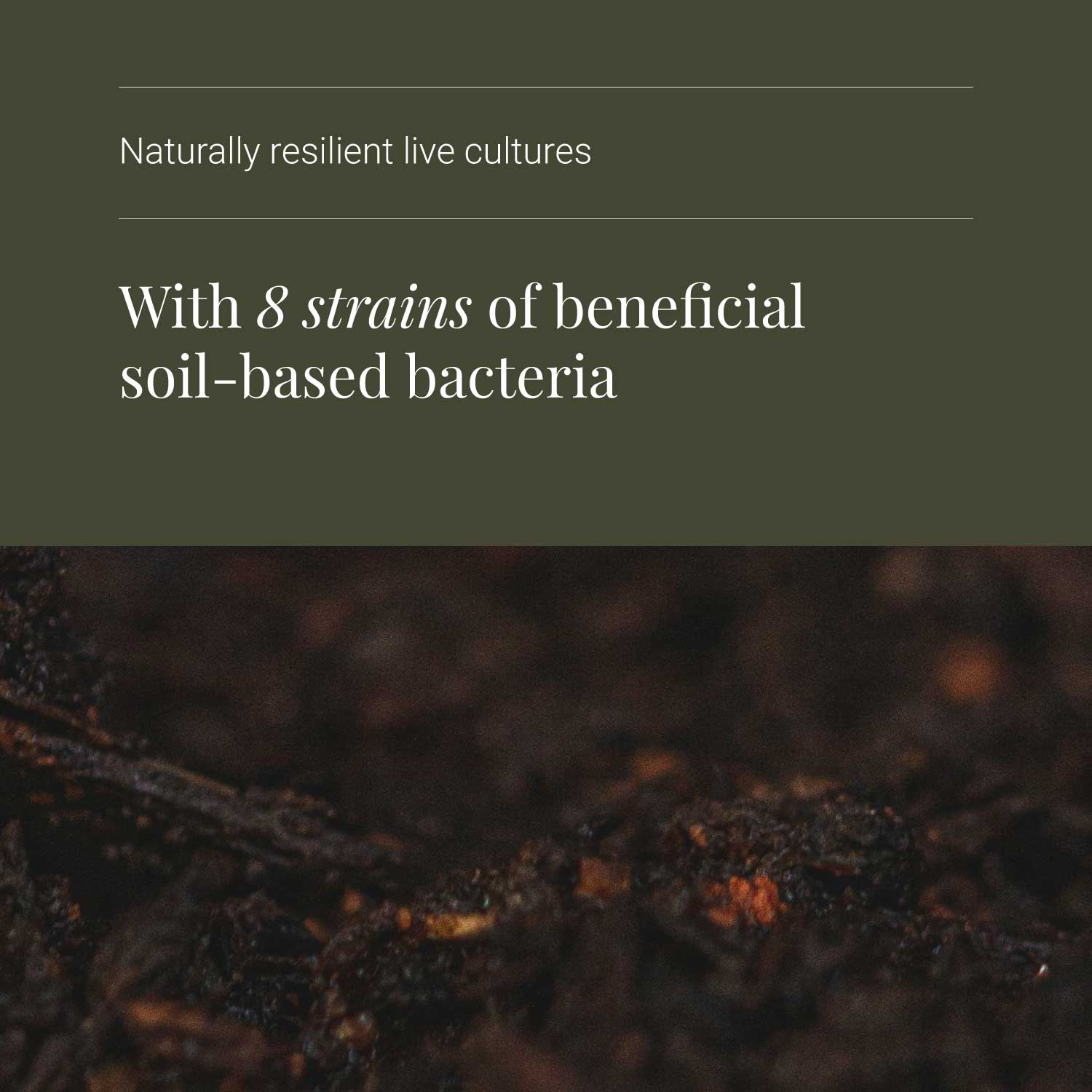Body Biotics naturally resilient live cultures with beneficial soil-based bacteria on a dark background