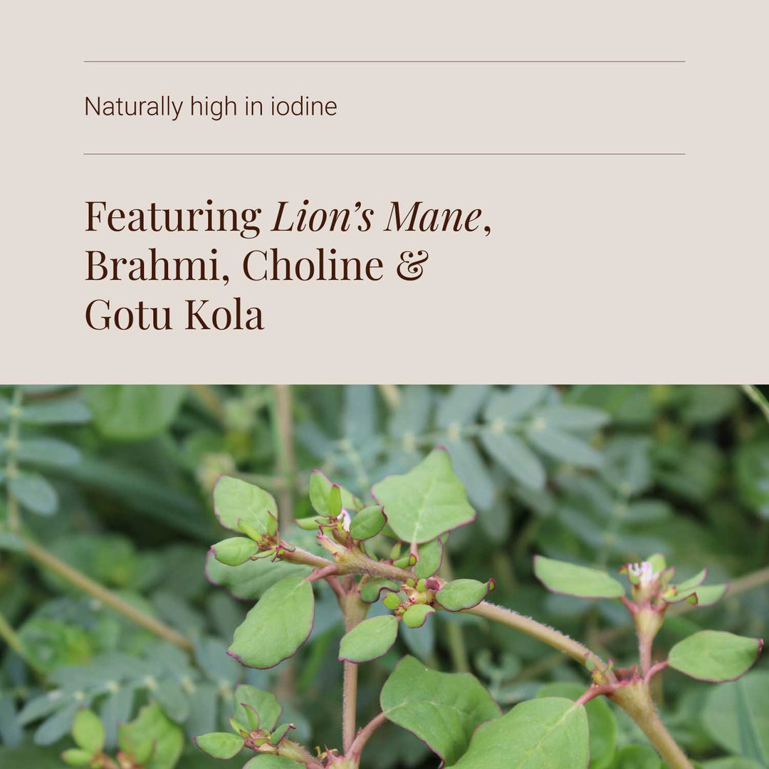 Cognitive supplement herbal plant with text about ingredients on a beige background