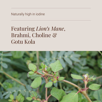 Cognitive supplement herbal plant with text about ingredients on a beige background