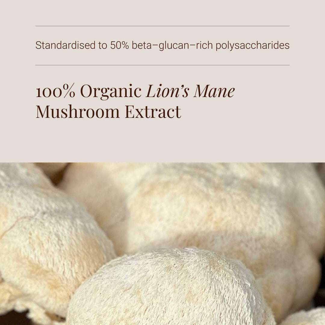 Close-up of lion's mane mushroom with text about organic lion's mane mushroom extract.