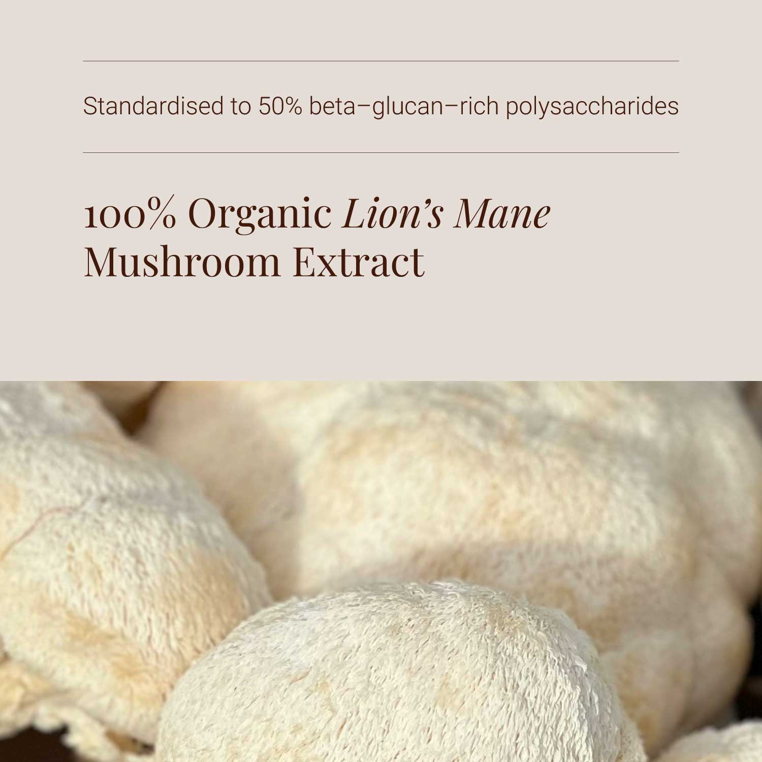 Close-up of lion's mane mushroom with text about organic lion's mane mushroom extract.