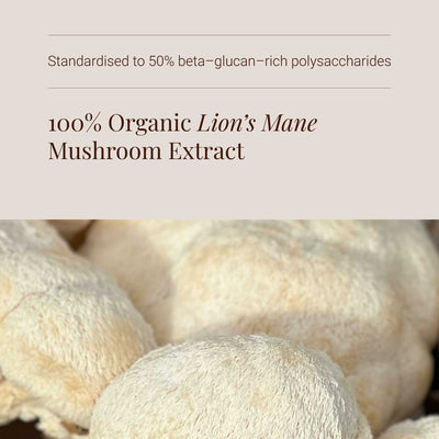 Close-up of lion's mane mushroom with text about organic lion's mane mushroom extract.