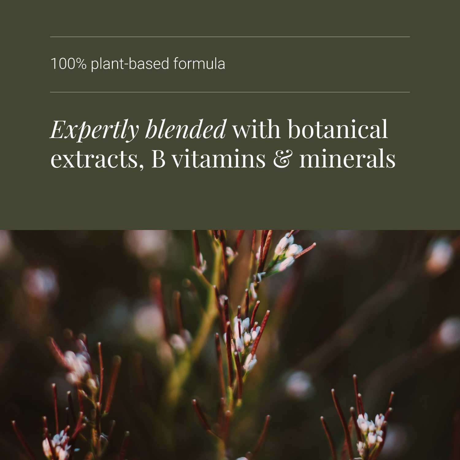 PMS supplement with text about a plant-based ingredients on a dark background