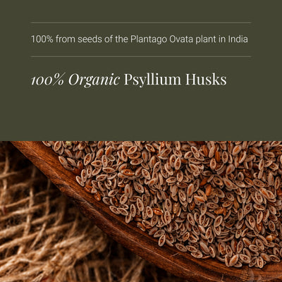 Close-up of organic psyllium husks with text about plant origin on a dark background