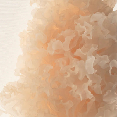 Close-up of a textured beige fabric with a soft focus background