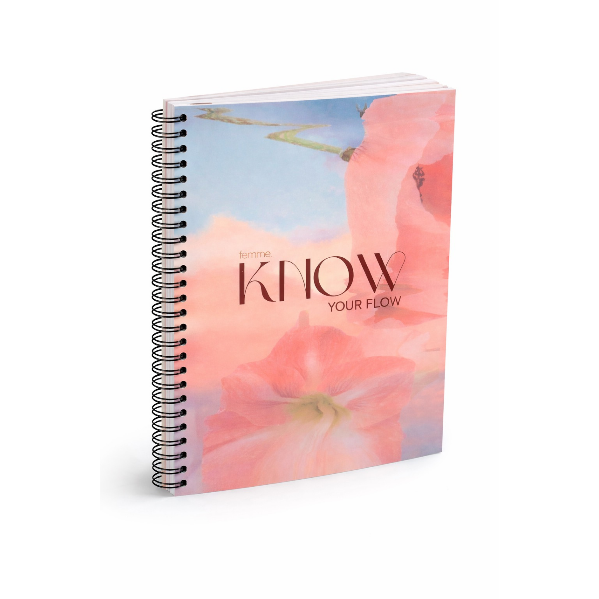 Know Your Flow Planner: A 12-week journey to understanding your cycle